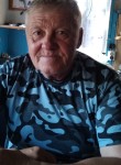 Борис, 71 год, Кривий Ріг