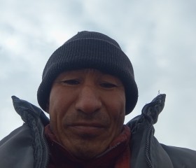 Дамир, 46 лет, Алматы