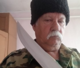 Влад, 67 лет, Конышевка