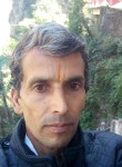 Prakash chand Pr, 44 года, Shimla