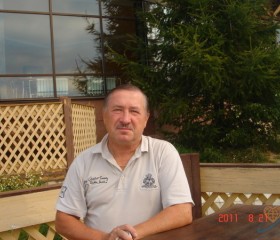 Николай, 74 года, Саянск
