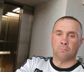 Алексей Селевко, 44 года, Кандры