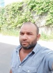 Вася - Курск