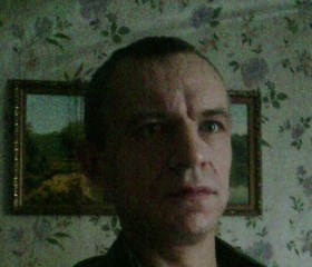 Алекй Исаковский, 48 лет, Вологда