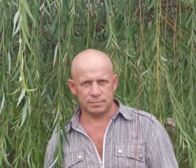 Вася, 47 лет, Новомосковск