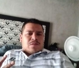 Pedro aranda, 32 года, Comonfort