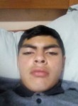 Javier, 20 лет, Osorno