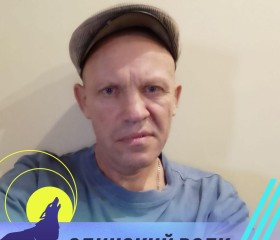 Вячеслав, 48 лет, Тольятти