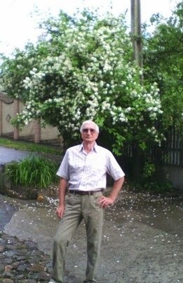 Владимир , 75, Russia, Perm