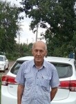 Владимир, 70 лет, Кропоткин
