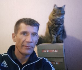 Костя, 47 лет, Новороссийск