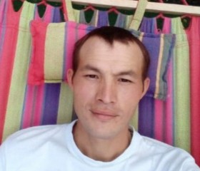 Александр, 31 год, Димитровград