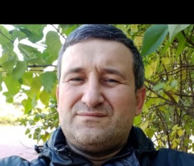 Спроси! :), 39 лет, Курганинск