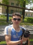 Александр, 26 лет, Червонопартизанськ
