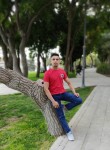 Shah Amir, 20 лет, Bahçelievler