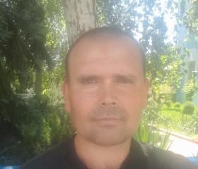 Владимир, 46 лет, Шишаки