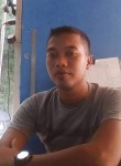 Arif, 30 лет, Kota Surabaya