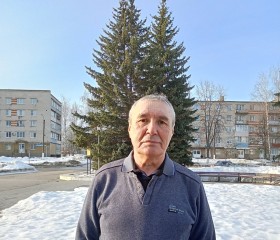 Николай, 65 лет, Нижний Новгород