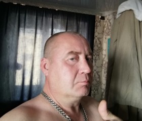 серж, 47 лет, Жыткавычы