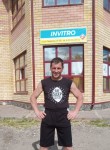 Дмитрий Челышев, 39 лет, Шуя