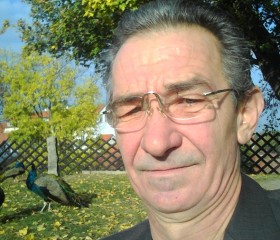 Иван, 56 лет, Хуст