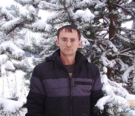владимир, 49 лет, Лесной