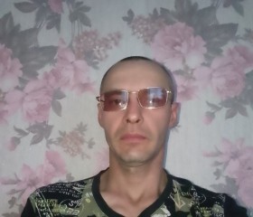 Roman, 39 лет, Дальнереченск