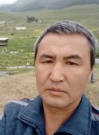Руслан, 52 года, Бишкек