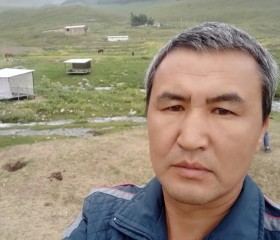 Руслан, 52 года, Бишкек