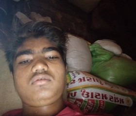 Chauhan vishalsi, 20 лет, Ahmedabad