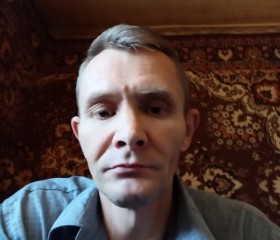 Алексей, 44 года, Павловский Посад