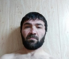шамиль, 39 лет, Краснодар