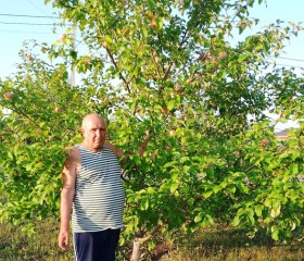 Nikolay, 70, Saransk
