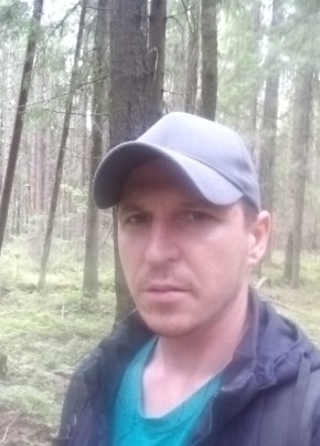 Денис, 37, Россия, Сертолово