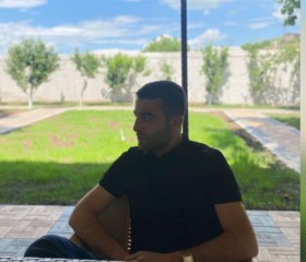 Van, 26, Yerevan