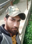 Janwar, 25 лет, Srinagar (Jammu and Kashmir)