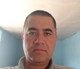 Farhod Ernazarov, 42 года, Toshkent