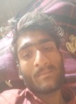 Aamir, 20 лет, Jaipur