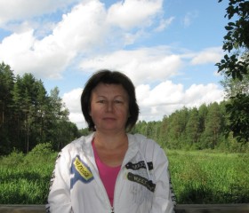 Наташа, 62 года, Щёлково