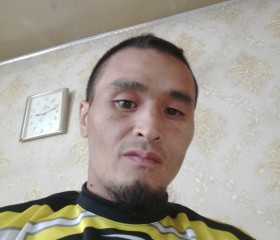 Eegii, 37 лет, Улаанбаатар