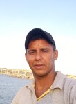 Tacicley, 31 год, Araguaína