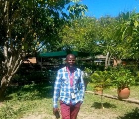 Steve, 30 лет, Lilongwe