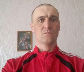 Дмитрий, 45 лет, Кулунда