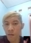 Agus robert, 35 лет, Kota Surakarta
