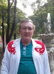 Виктор Панфилов, 62 года, Москва