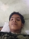 Arvind kumar, 18 лет, New Delhi