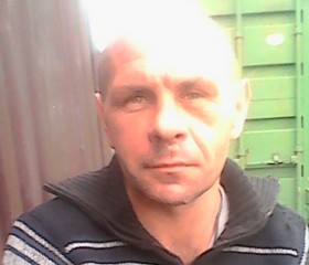 Алексей, 42 года, Врангель