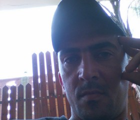 طارق, 39, Tulkarm