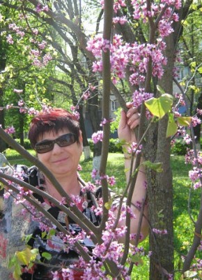 Галина, 63, Россия, Невинномысск