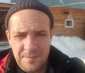 Сергей Мелихов, 42 года, Томск